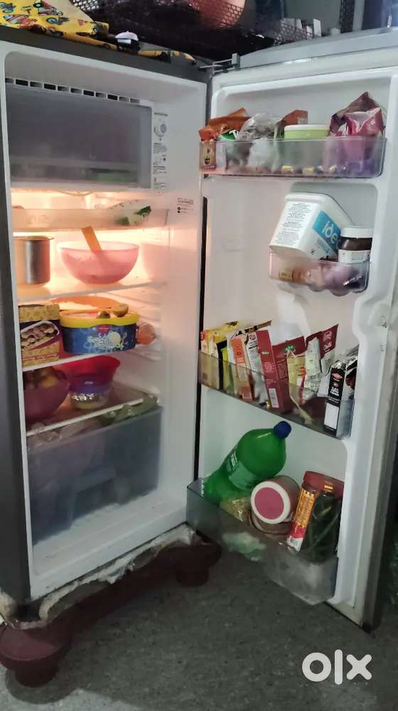 Samsung singele dore fridge