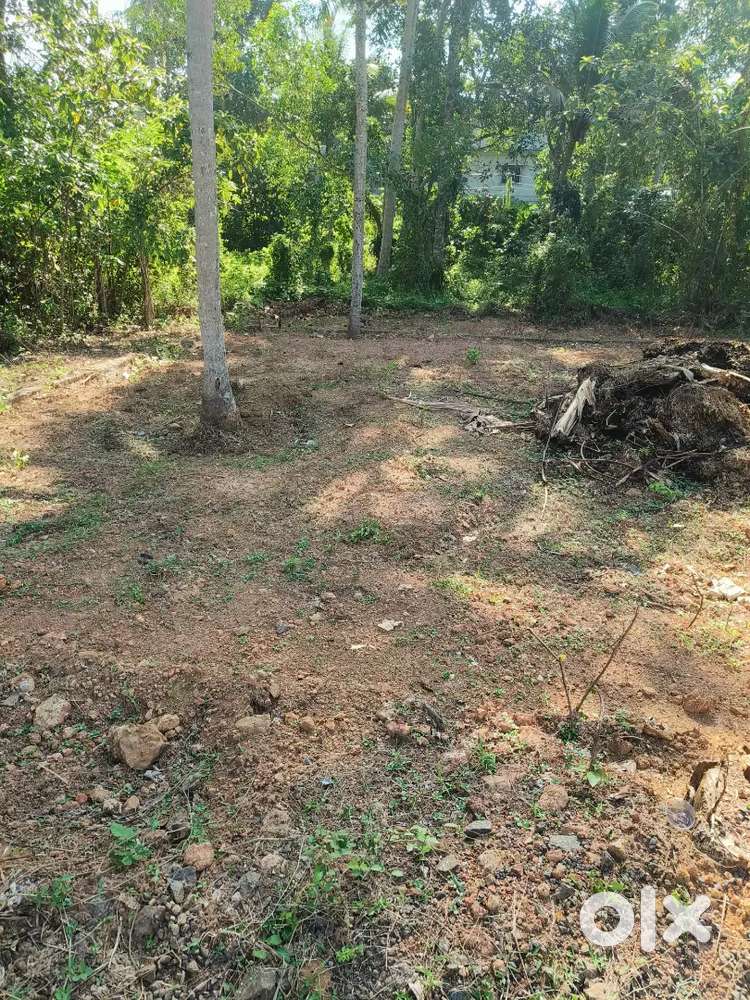 5 cent വീട് നിർമ്മിക്കാൻ കഴിയുന്ന വസ്തു.