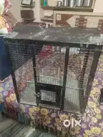 Bird cage and new condition