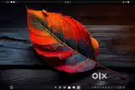 Linux— We help you move to Linux and revive your old pc.