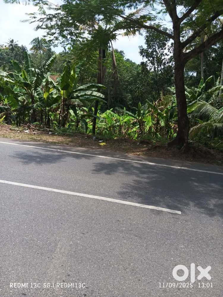 Agricultural Land for sale