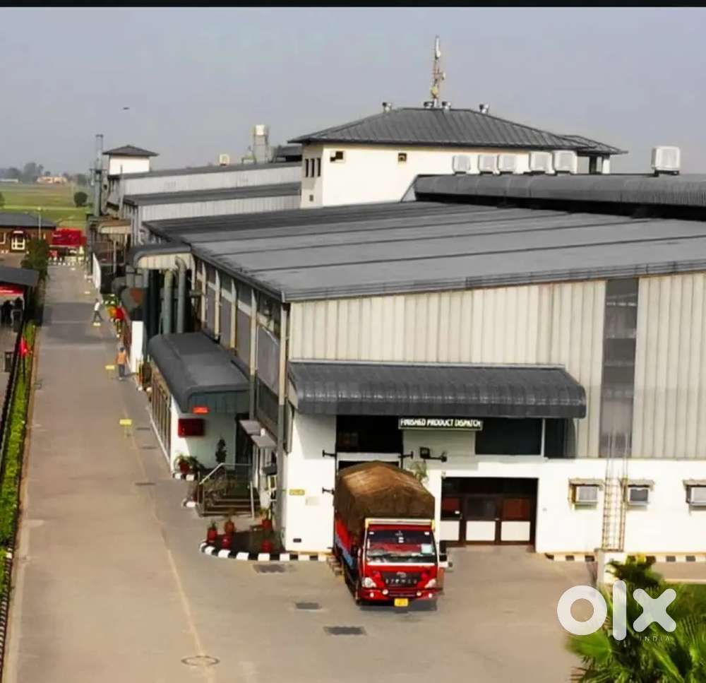 Required 50 Male/Female Manufacturing Plant Loca..Daulatpur Patiala PB