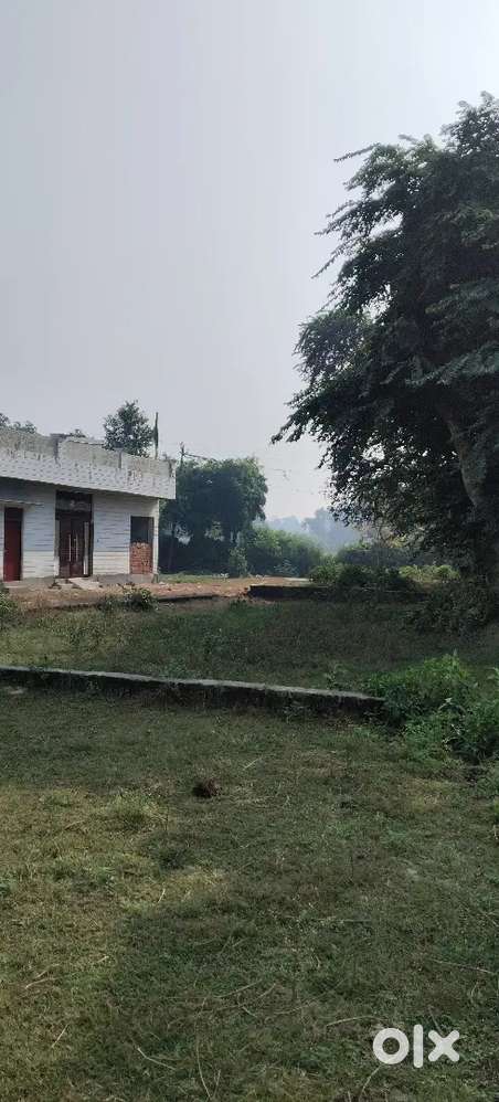 Best plot location urgent sell contact me