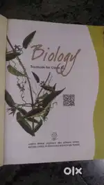 NCERT 11th & 12th Physics and Biology Books for Sale Perfect for NEET