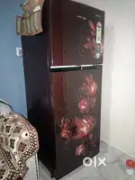 Voltas Freeze