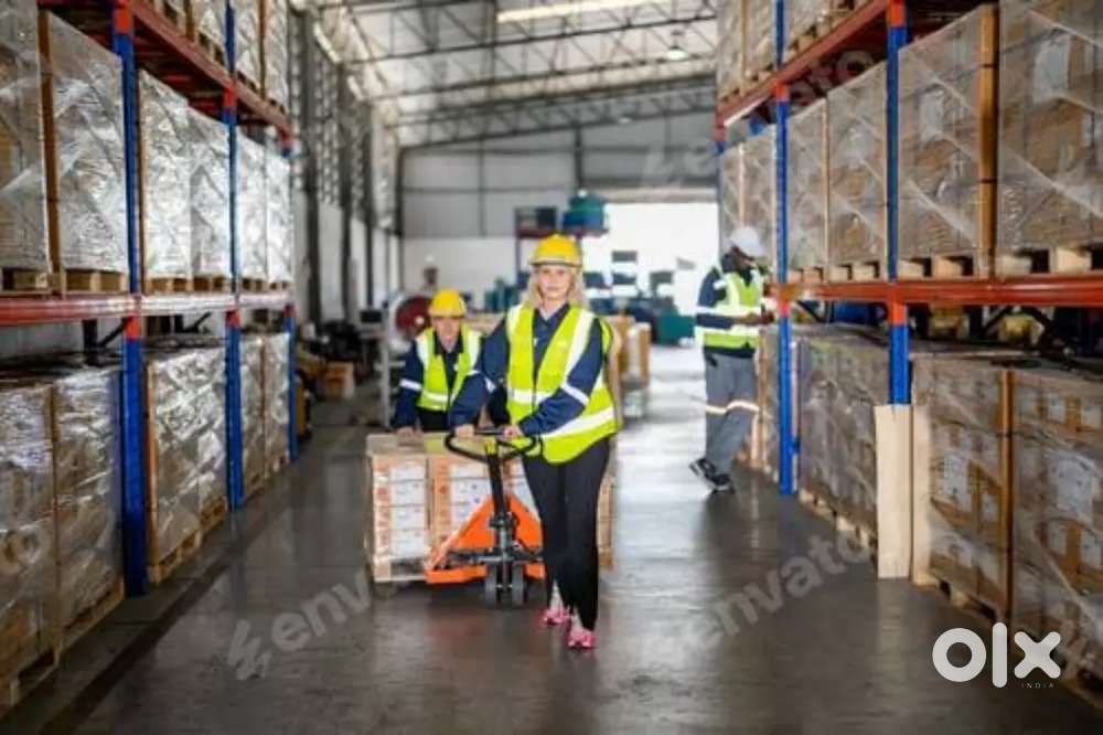 MEDICAL WAREHOUSE PACKING/HELPER/JOB IN WAREHOUSE IN LUCKNOW