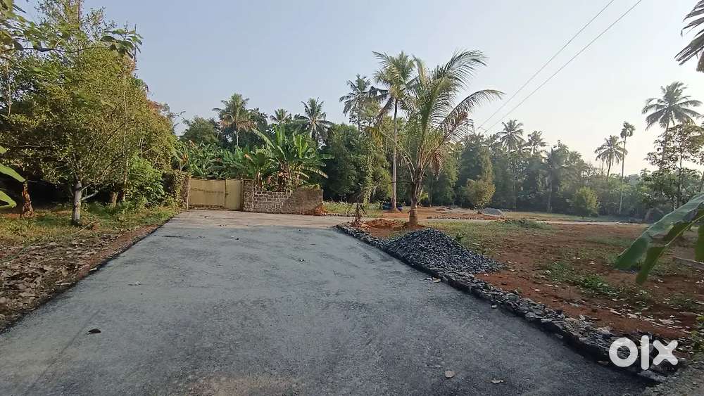 Angamaly 4, cent 5 cent 8 cent 10 cent plots available