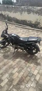 pulsar 135ls black pb number