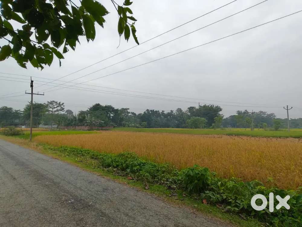 Roadside plot  1.5 kotha