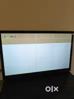 Sony LED 42Inch - Display needs repair