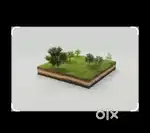 Park facing