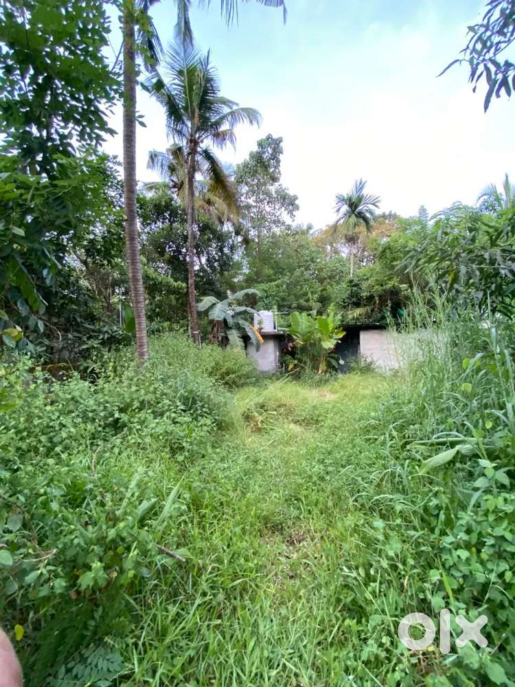 4 cent plot for sale