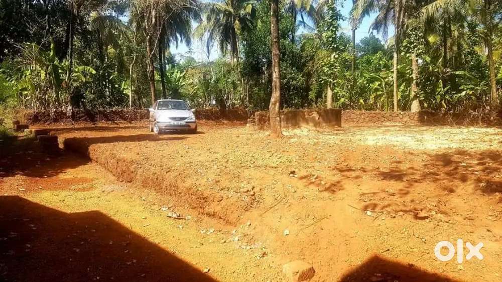 10 cents of land near padiyotchal thattummal mechadam tar road