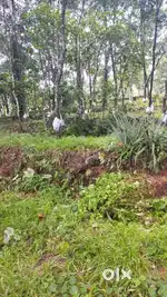Residential / Agricultural Land 1 Acre for sale in Edayirickapuzha
