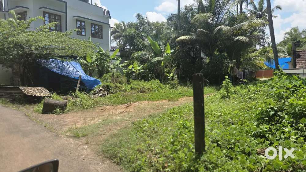 4 cent plot തുറവൂർ ക്ഷേത്രത്തിൽ കിഴക്കുവശം ഒന്നര കിലോമീറ്റർ മാറി