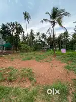 20.5 cents residential land for sale – Menapram, Chockli