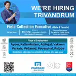 Field Collection Executive