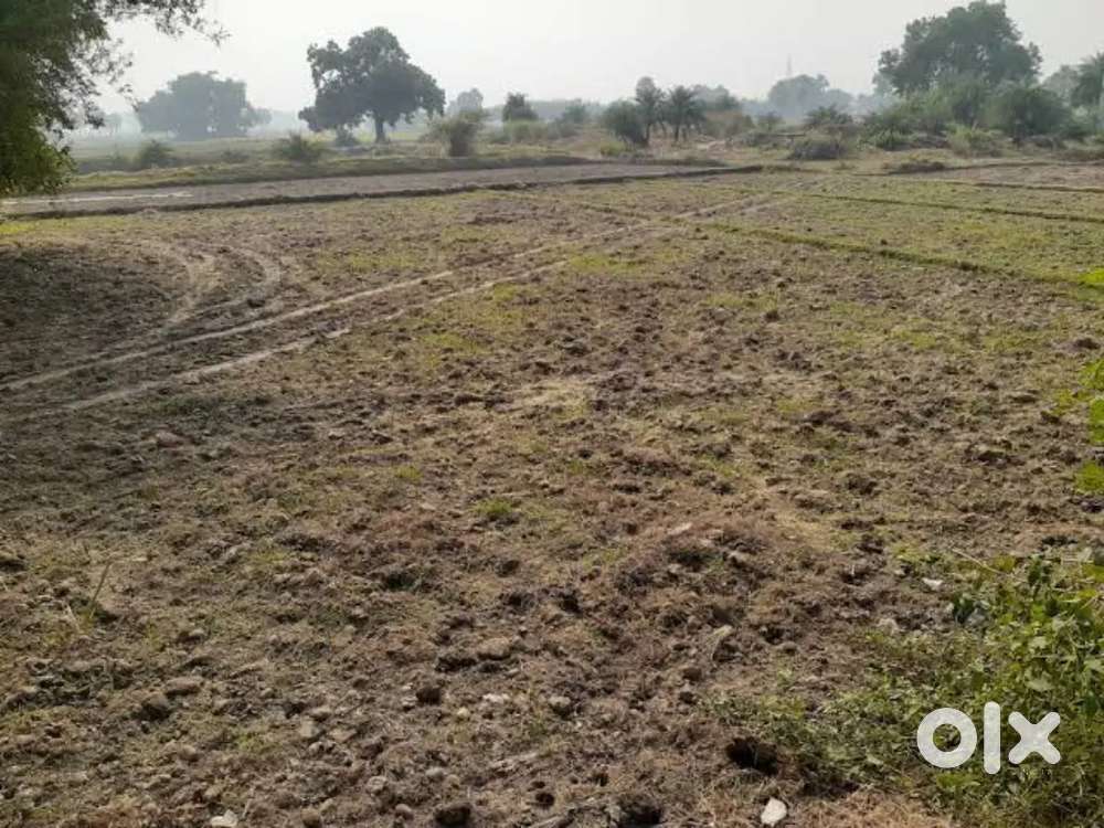 Saba do beegha khet bikau hai hathiya tal se pahle