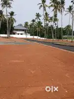 7 Cent Square Plot for Sale at Poochunnipadam Center-Premium Location