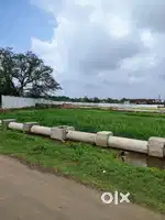 Plots, singlex, Duplex