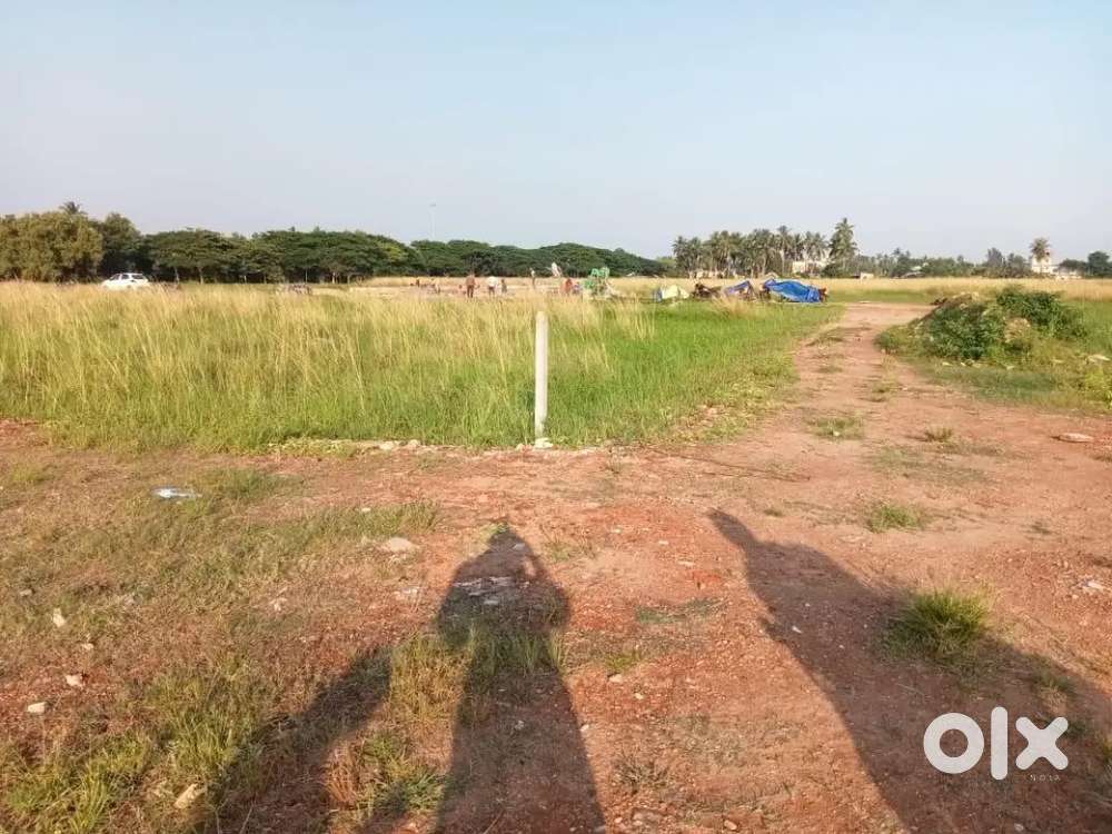 Affordable prices mob