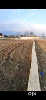 36 marla plot available near RING ROAD panzinara