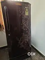 LG 5-Star Refrigerator with Bottom Tray – Elegant Shiny Floral Design