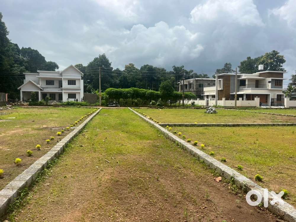 ചീരഞ്ചിറ - നാലുന്നാക്കൽ റോഡിൽ 10 സെൻ്റ്