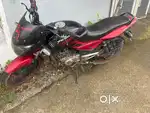 Pulsar red black