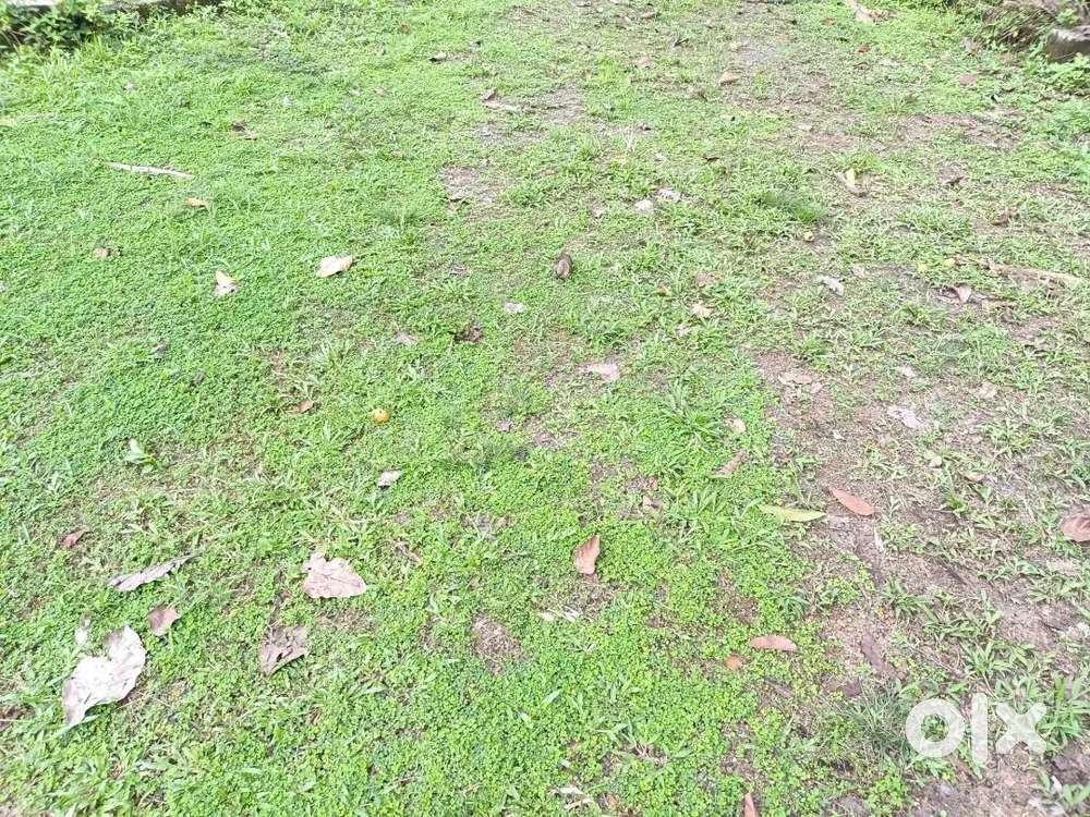 വൈക്കം വൈപ്പിൻപടി ജംഗ്ഷൻ അടുത്ത് 7 സെന്റ് square പ്ലോട്ട് വില്പനക്ക്