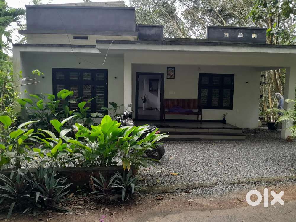 Plot and house for sale