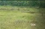 Small plot on sell