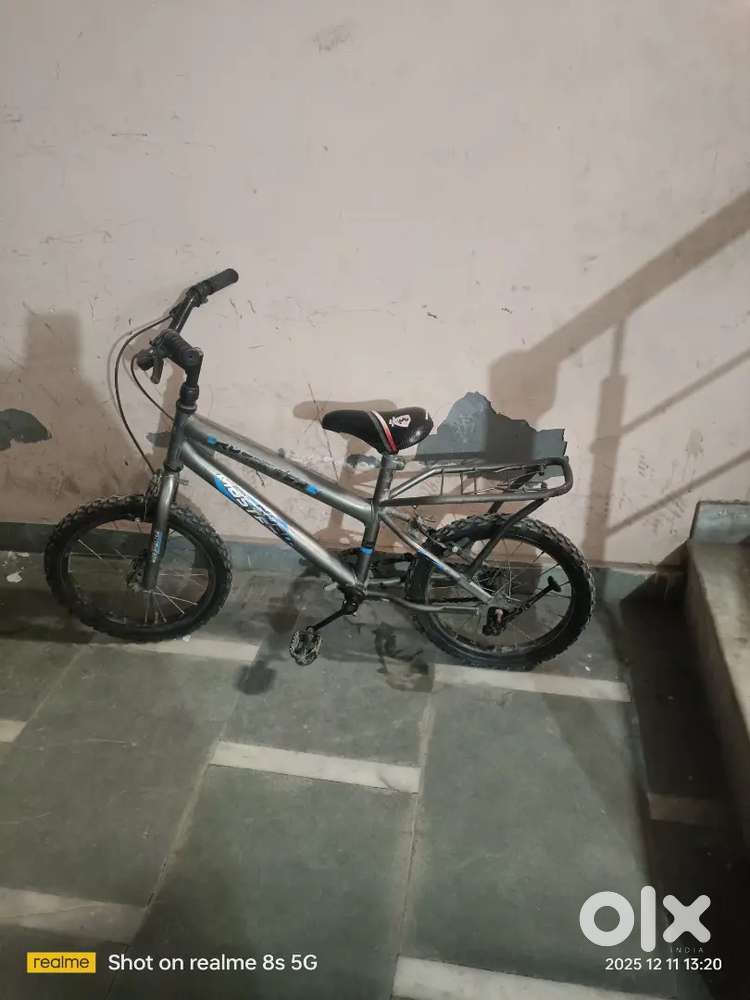 Kids cycle roadmaster brand