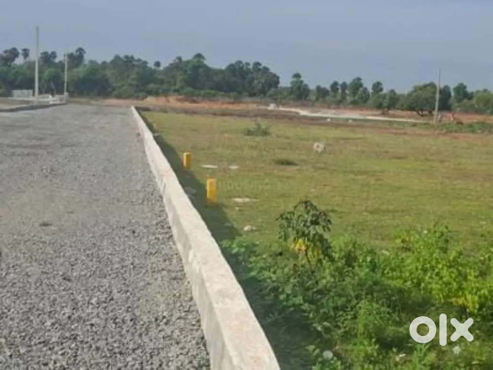 बिना किसी अतिरिक्त चार्ज के प्लांट ले