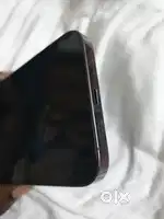iPhone 14pro max