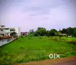 Plot new st xavier school on borsi dhanora road 20600 sq feet