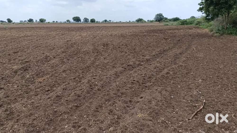 Agriculture land for sale in chowtkuru Nandikotkur road orvakal also