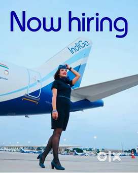 Apply here ! Make your career in aviation industry