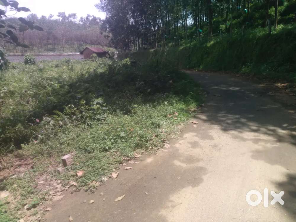 Adevade 3ഏക്കർ 36സെന്റ് പുരയേടം