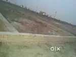Comercial plot