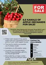 Prime apple orchards for sale