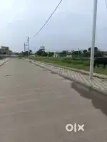 Best location best plots