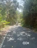 Munnar Near Ellakkal 9 AC Land For Sale