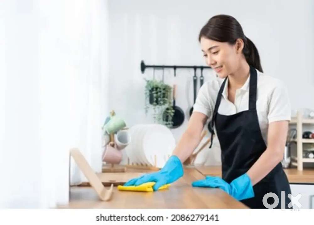 LOOKING FOR LADY HELPER