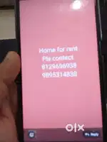 House rent