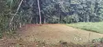 Land for sale 10 Cent
