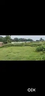 3 Khatta plot , square in shape