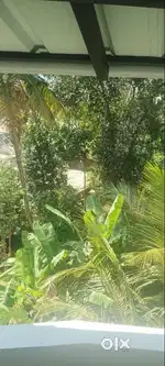 3 Bedroom House Paruthippara