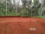 15 Cent plot for sale