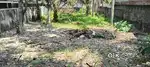 5.500 CENTS PRIME RESIDENTIAL PLOT FOR SALE NEAR ANAYARA